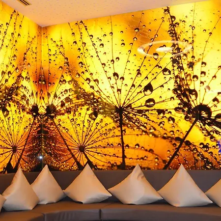 Wellnesshotel Ludinmuehle 4* Freiamt