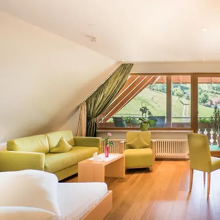 Отель Wellnesshotel Ludinmuehle 4*