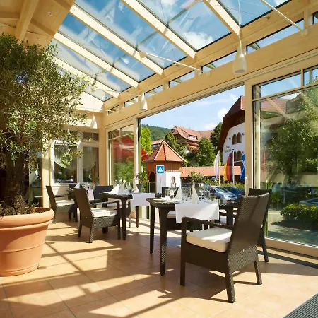 Wellnesshotel Ludinmuehle Отель