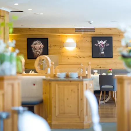 Отель Wellnesshotel Ludinmuehle 4*