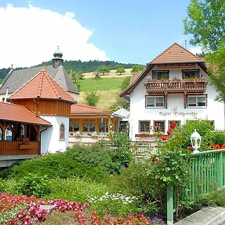Wellnesshotel Ludinmuehle 4* Freiamt