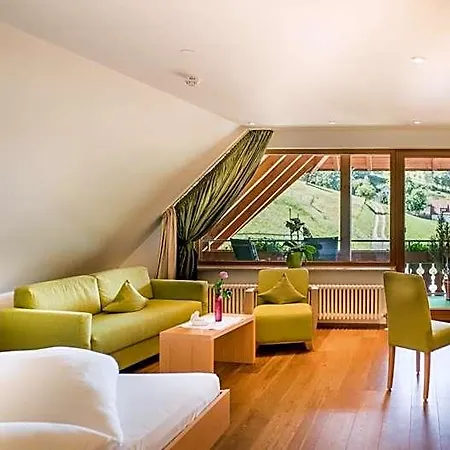 Otel Wellnesshotel Ludinmuehle
