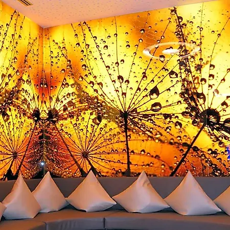 Wellnesshotel Ludinmuehle 4*