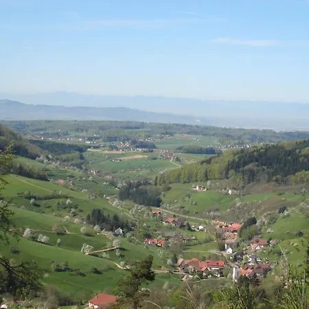 Отель Wellnesshotel Ludinmuehle